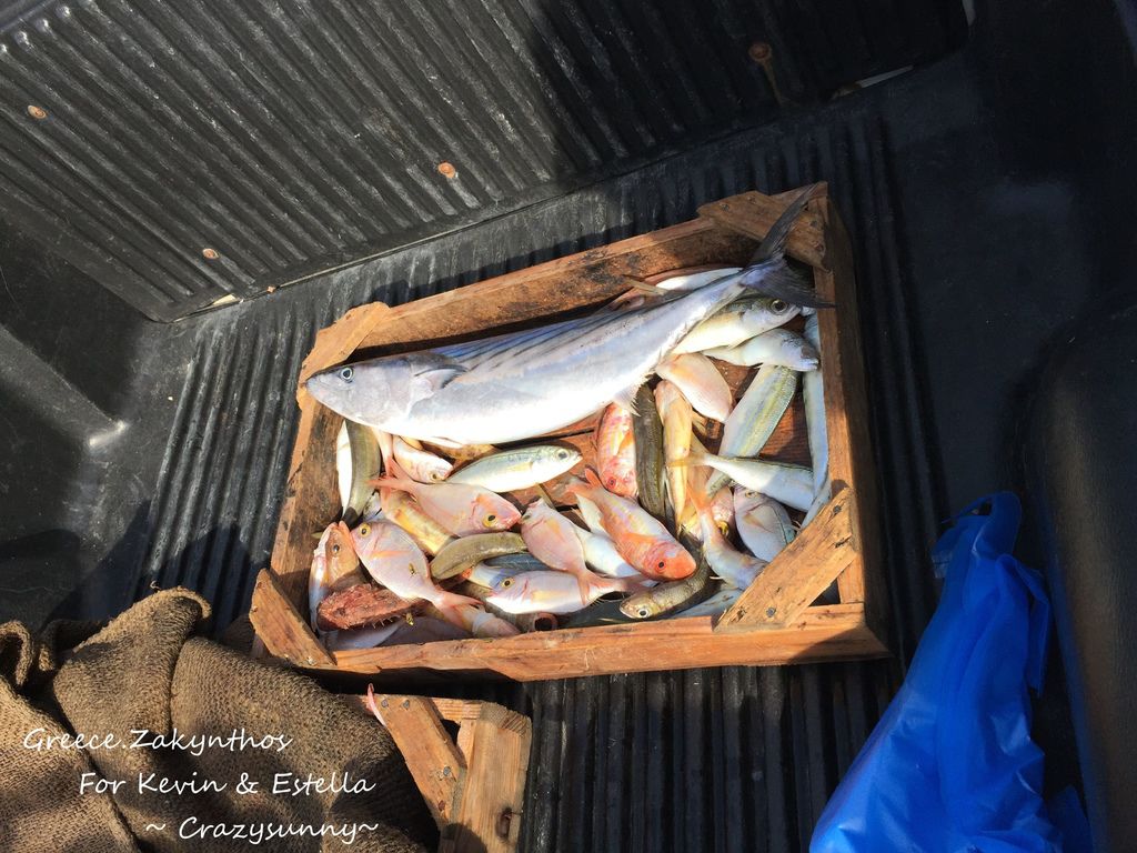 IMG_7350_结果.JPG IMG_7350_结果.JPG