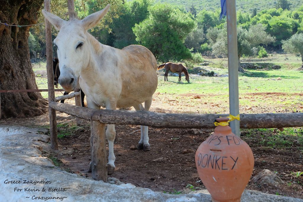 DSCF4839_结果.JPG DSCF4839_结果.JPG