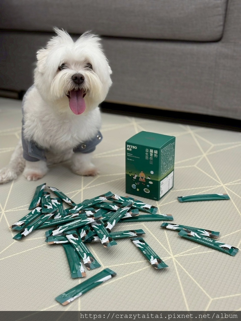 PETBO撇步 貓狗腸胃保健益生菌 (16).jpg