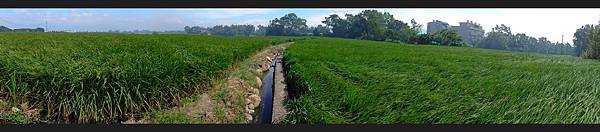 DSC_2635.JPG DSC_2635.JPG