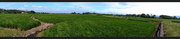 DSC_2655.JPG DSC_2655.JPG