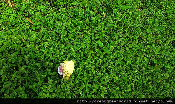 20160417-07.tif 20160417-07.tif