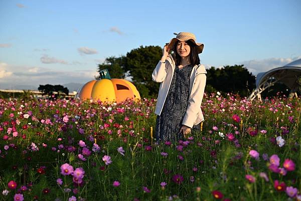 台北．大佳河濱公園．台北水岸花季