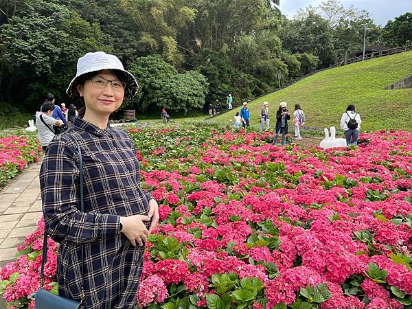 台北．大溝溪生態治水園區．繡球花海秘境