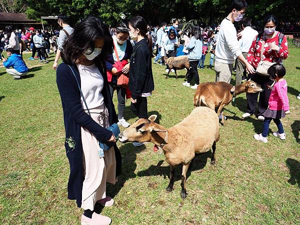 桃園．埔心牧場