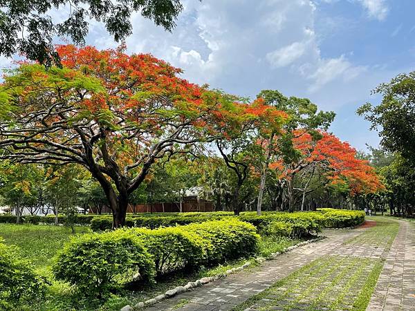 台中．東勢林業文化園區