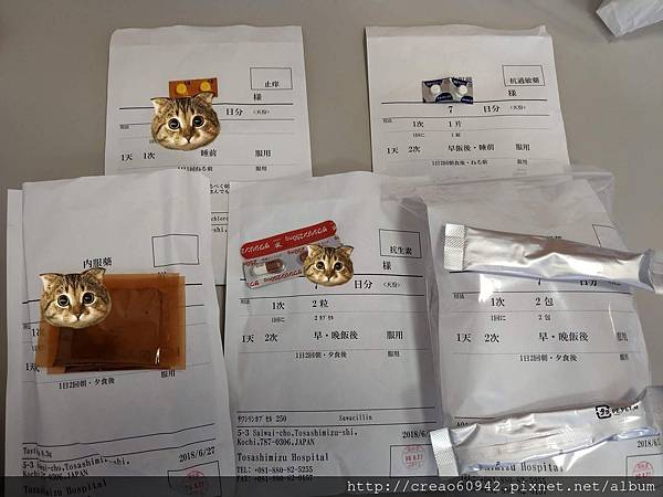 日本丹羽療法08 藥物使用的紀錄 桂格的小閣樓 痞客邦