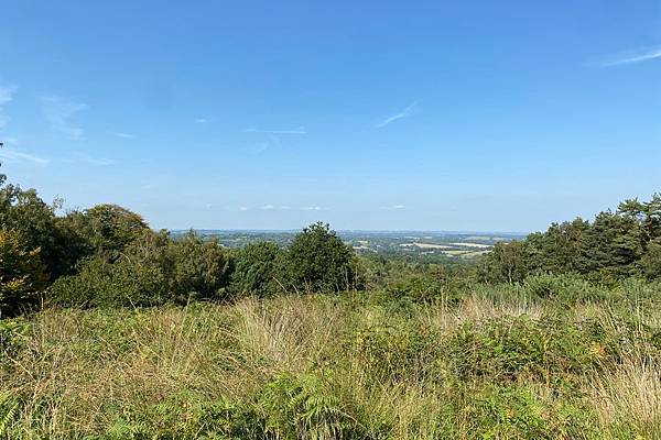 East Sussex: Ashdown Forest + 