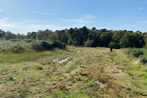 East Sussex: Ashdown Forest + 
