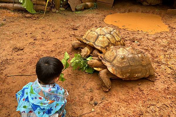 Taiwan: 100項返台玩樂清單 (2)