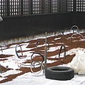  先行排水板鋪設與排水布鋪設在進行填花土作業 
