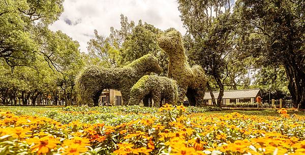 台中花博后里馬場園區  阿拉伯皇家寶馬綠雕 copy.jpg