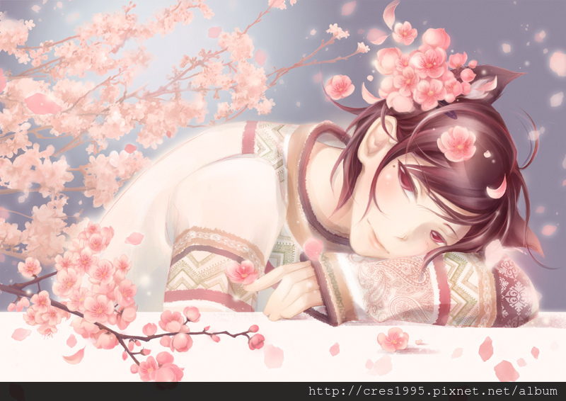 桃花CherryBlossom