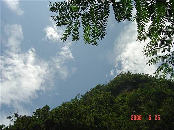 DSC08660