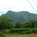 DSC08826.JPG