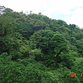 DSC08827.JPG