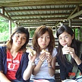 DSC08849.JPG