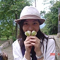 DSC08885.JPG