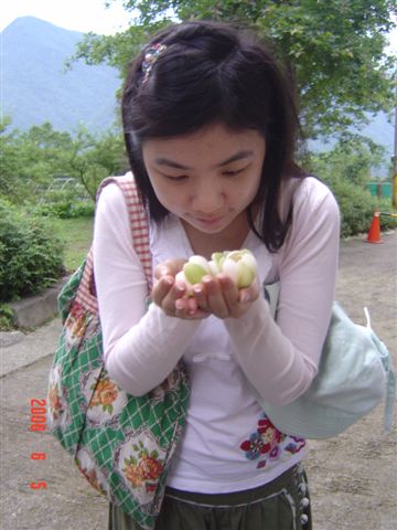DSC08888.JPG
