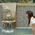 DSC08912.JPG