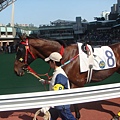 DSC02605.JPG