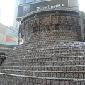 DSC02753.JPG