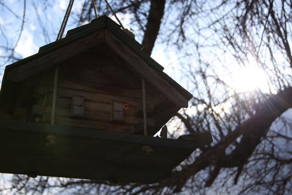 bird house.jpg