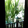 格式工廠IMAG3129.jpg