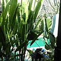 格式工廠IMAG3130.jpg