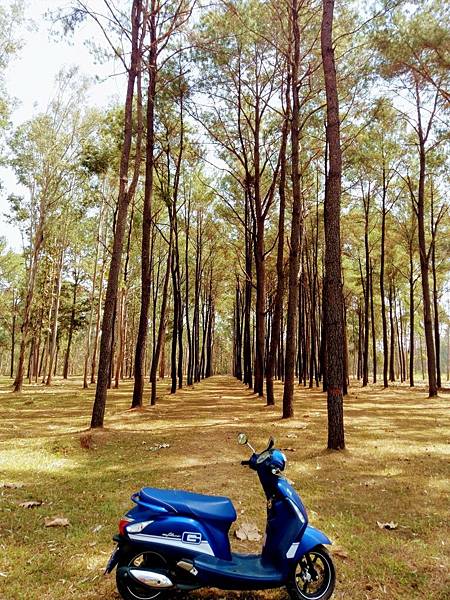 格式工廠IMAG63512 格式工廠IMAG63512