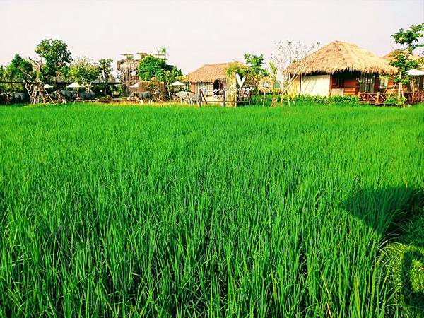 格式工廠IMAG65692.jpg 格式工廠IMAG65692.jpg