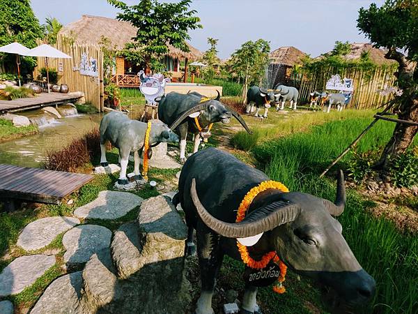 格式工廠IMAG65742.jpg 格式工廠IMAG65742.jpg