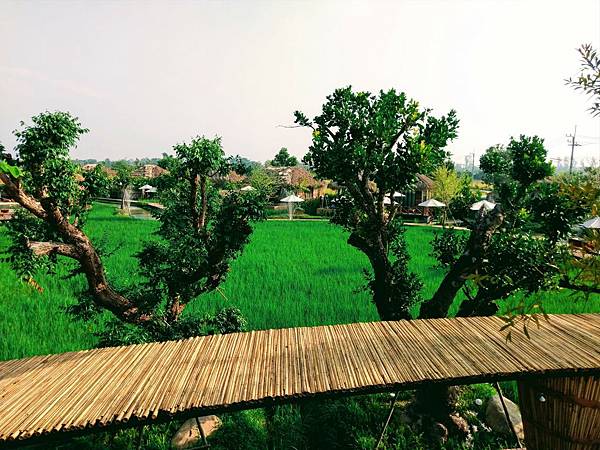 格式工廠IMAG65852.jpg 格式工廠IMAG65852.jpg