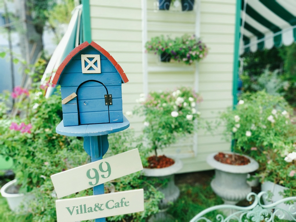 IMG_20230626_0930351.jpg IMG_20230626_0930351.jpg