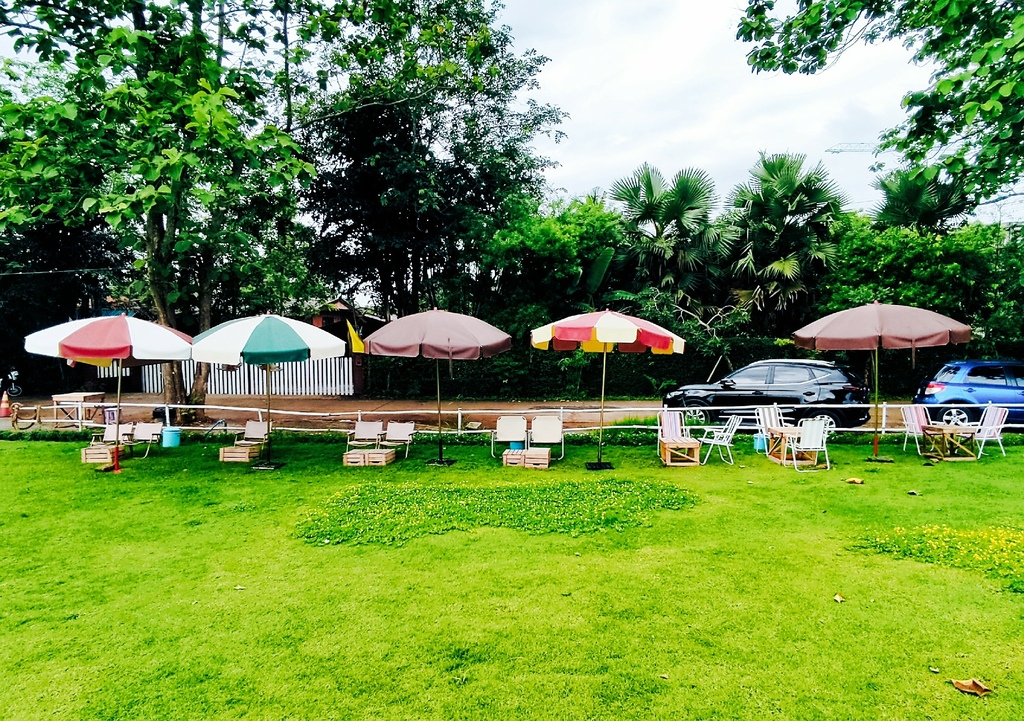 IMG_20230626_1004531.jpg IMG_20230626_1004531.jpg