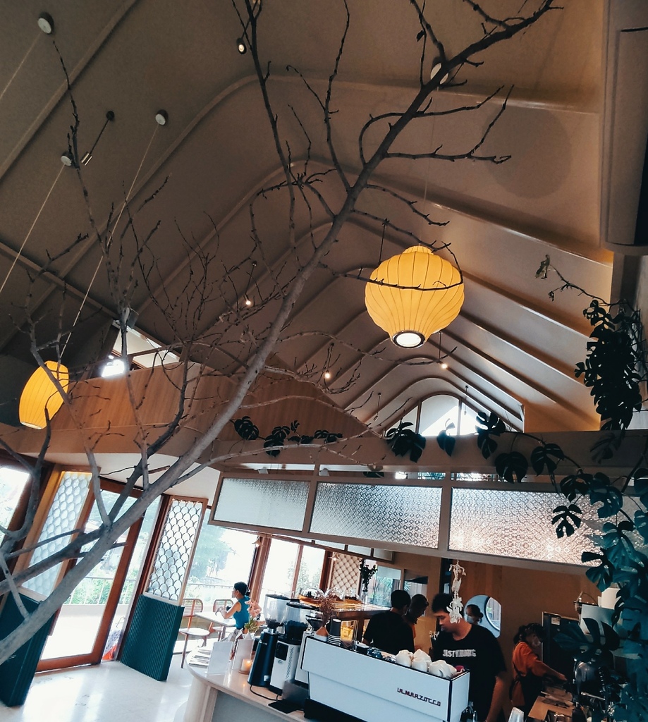 IMG_20220926_122456~1.jpg IMG_20220926_122456~1.jpg