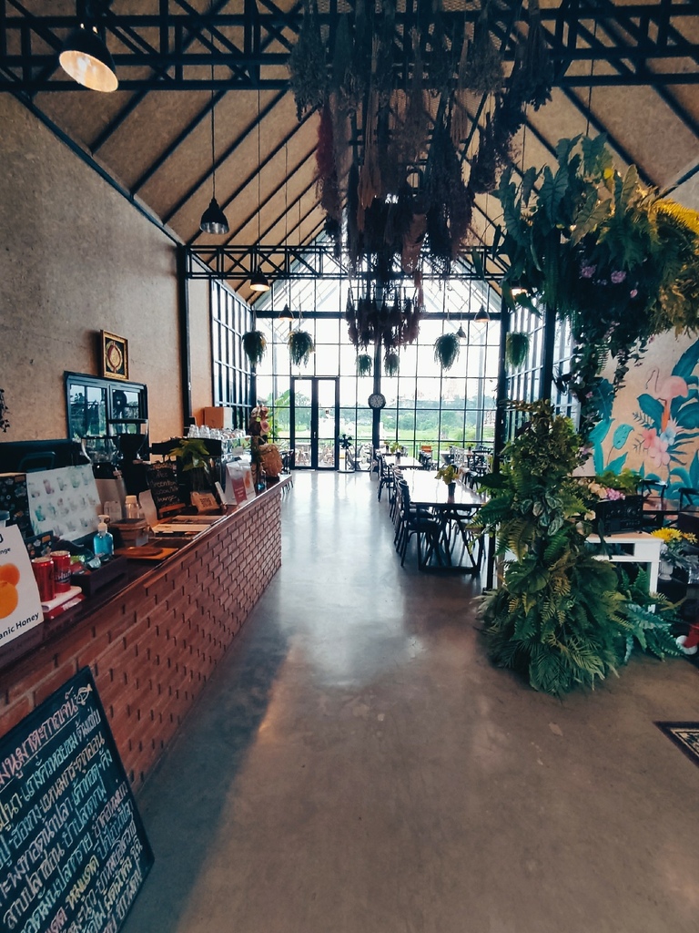 IMG_20221008_1604441.jpg IMG_20221008_1604441.jpg