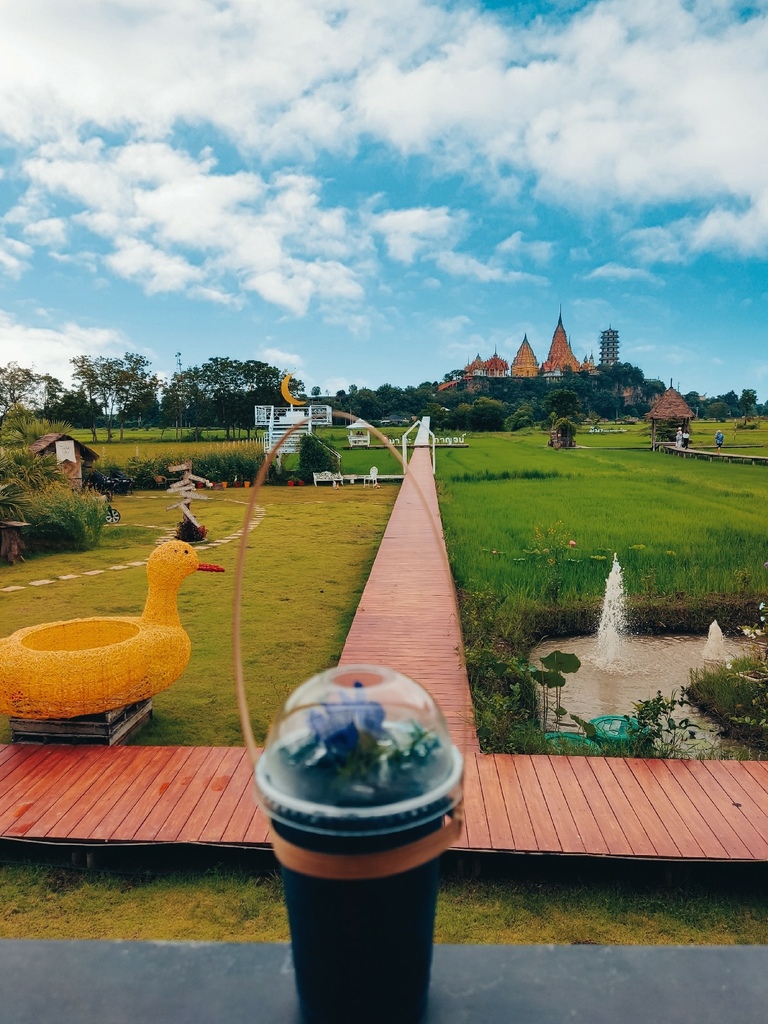 IMG_20221008_1606051.jpg IMG_20221008_1606051.jpg