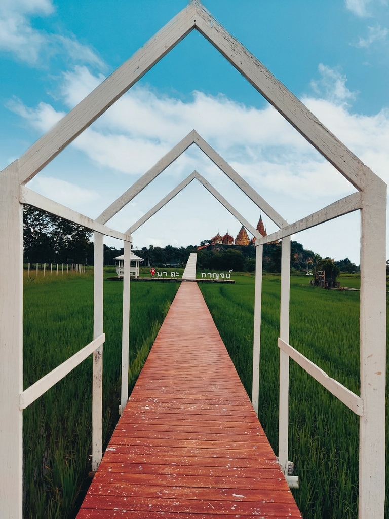 IMG_20221008_1611291.jpg IMG_20221008_1611291.jpg