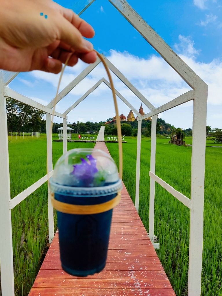 IMG_20221008_1612001.jpg IMG_20221008_1612001.jpg