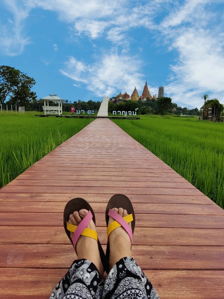 IMG_20221008_1618371.jpg IMG_20221008_1618371.jpg