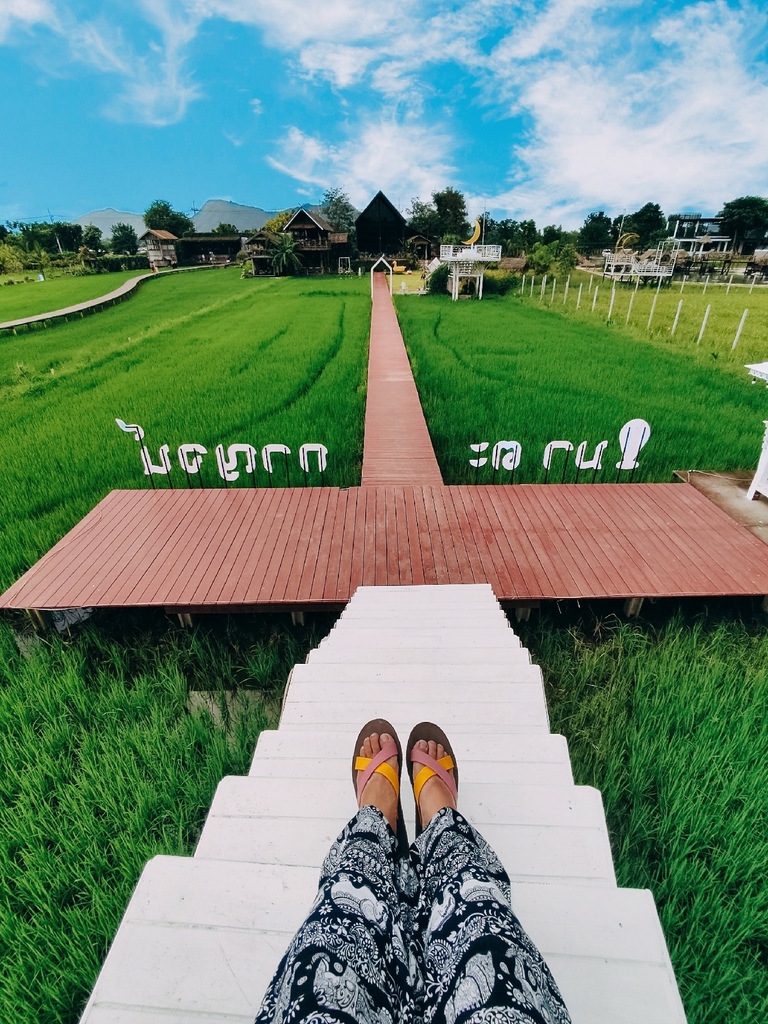 IMG_20221008_1623431.jpg IMG_20221008_1623431.jpg