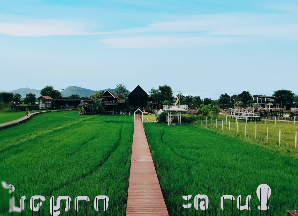 IMG_20221008_1623201.jpg IMG_20221008_1623201.jpg