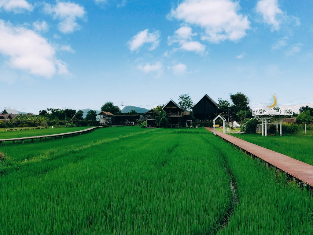 IMG_20221008_1624031.jpg IMG_20221008_1624031.jpg