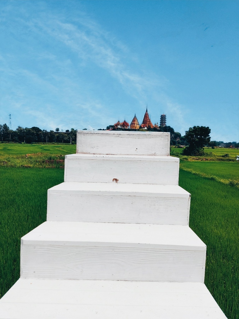 IMG_20221008_1624531.jpg IMG_20221008_1624531.jpg