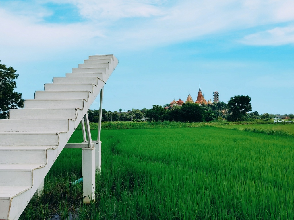 IMG_20221008_1624261.jpg IMG_20221008_1624261.jpg