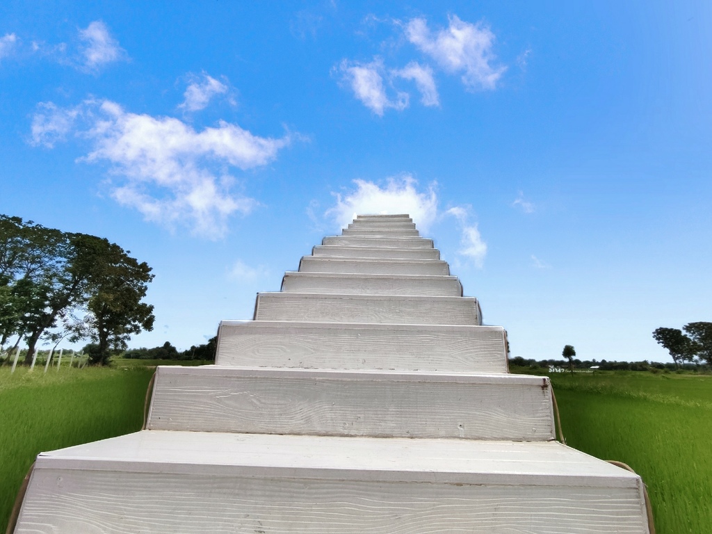 IMG_20221008_1626041.jpg IMG_20221008_1626041.jpg