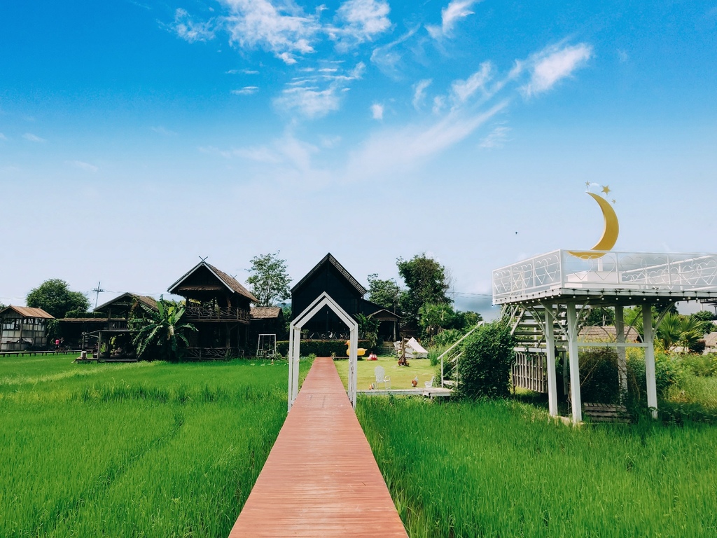 IMG_20221008_1626531.jpg IMG_20221008_1626531.jpg