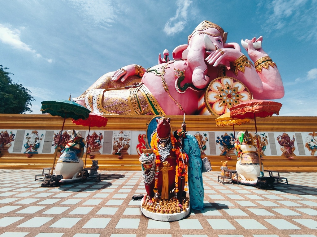 IMG_20221012_052308~1.jpg IMG_20221012_052308~1.jpg