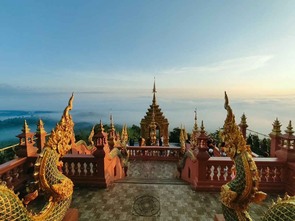 IMG_20221022_0905191.jpg IMG_20221022_0905191.jpg